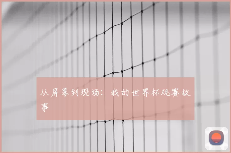 从屏幕到现场:我的世界杯观赛故事