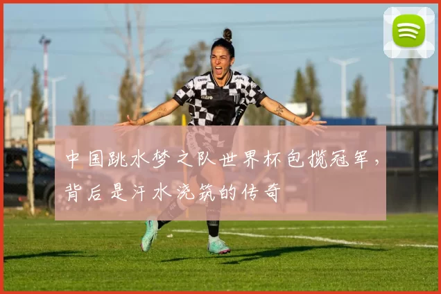 中国跳水梦之队世界杯包揽冠军,背后是汗水浇筑的传奇