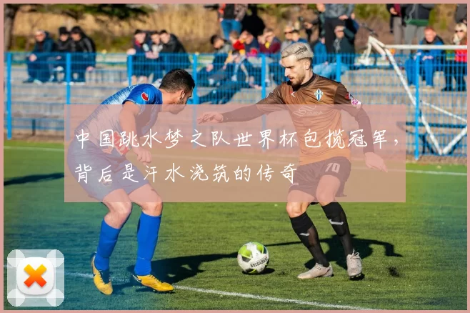 中国跳水梦之队世界杯包揽冠军,背后是汗水浇筑的传奇