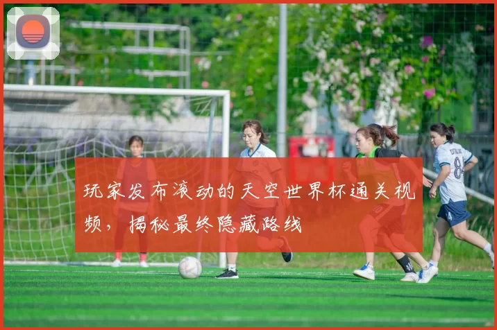 玩家发布滚动的天空世界杯通关视频,揭秘最终隐藏路线