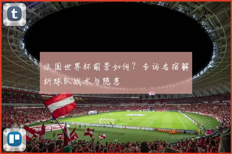 法国世界杯前景如何?专访名宿解析球队战术与隐患