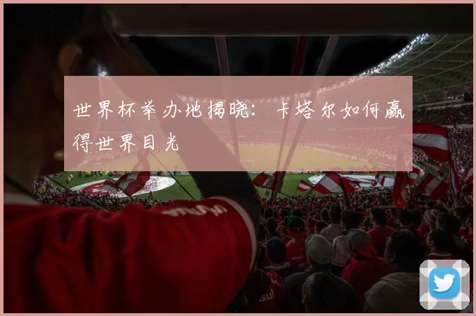 世界杯举办地揭晓：卡塔尔如何赢得世界目光